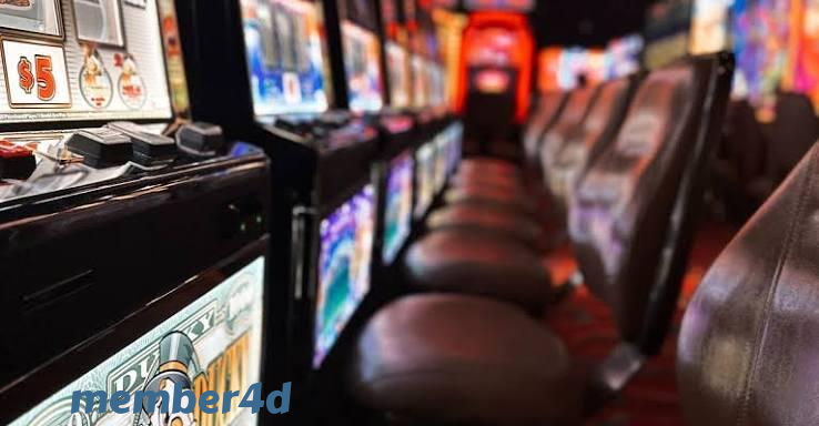 member4d featured game showcase